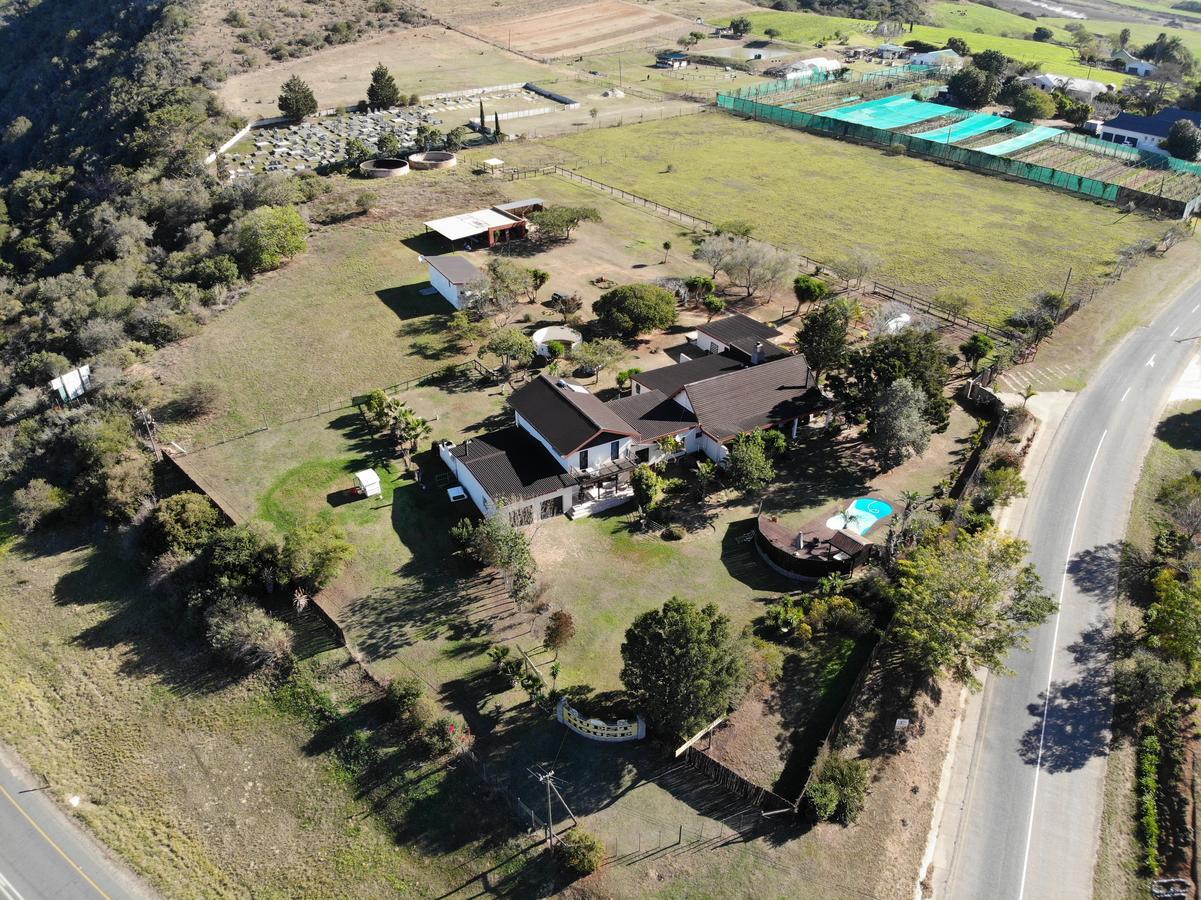 Cheetah Lodge Guest House Hartenbos Eksteriør billede